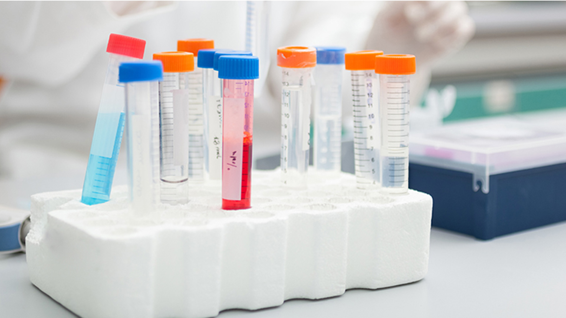 Bild Labor Reagenzgläser