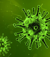 Grippevirus/ PDF Verlinkung