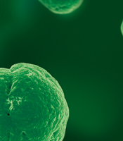 MRSA-Sanierung/ PDF Verlinkung